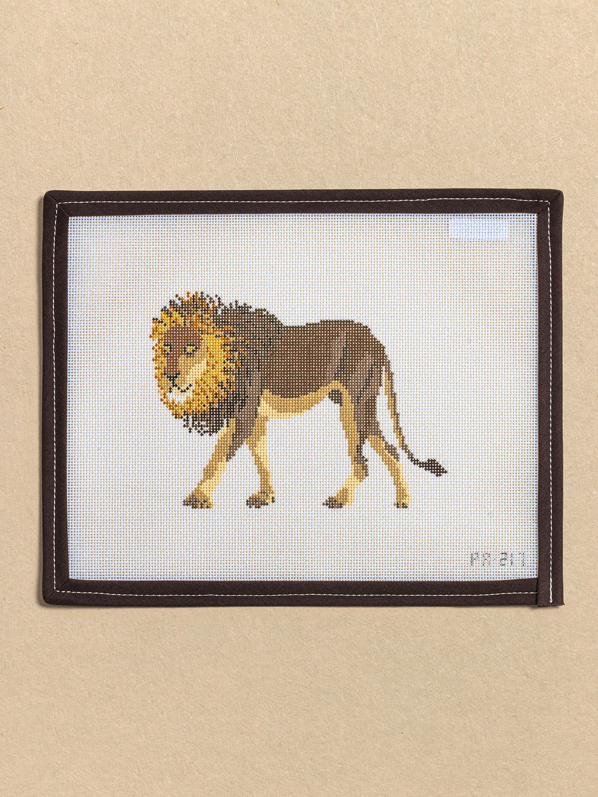 African Lion