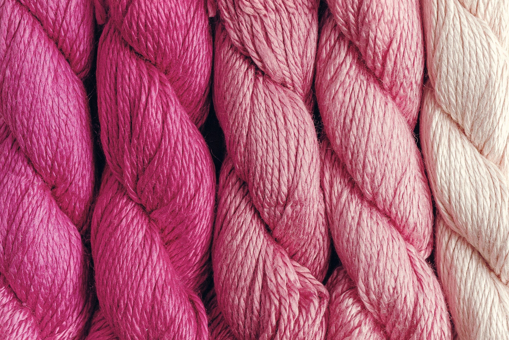 Pepper Pot Pinks