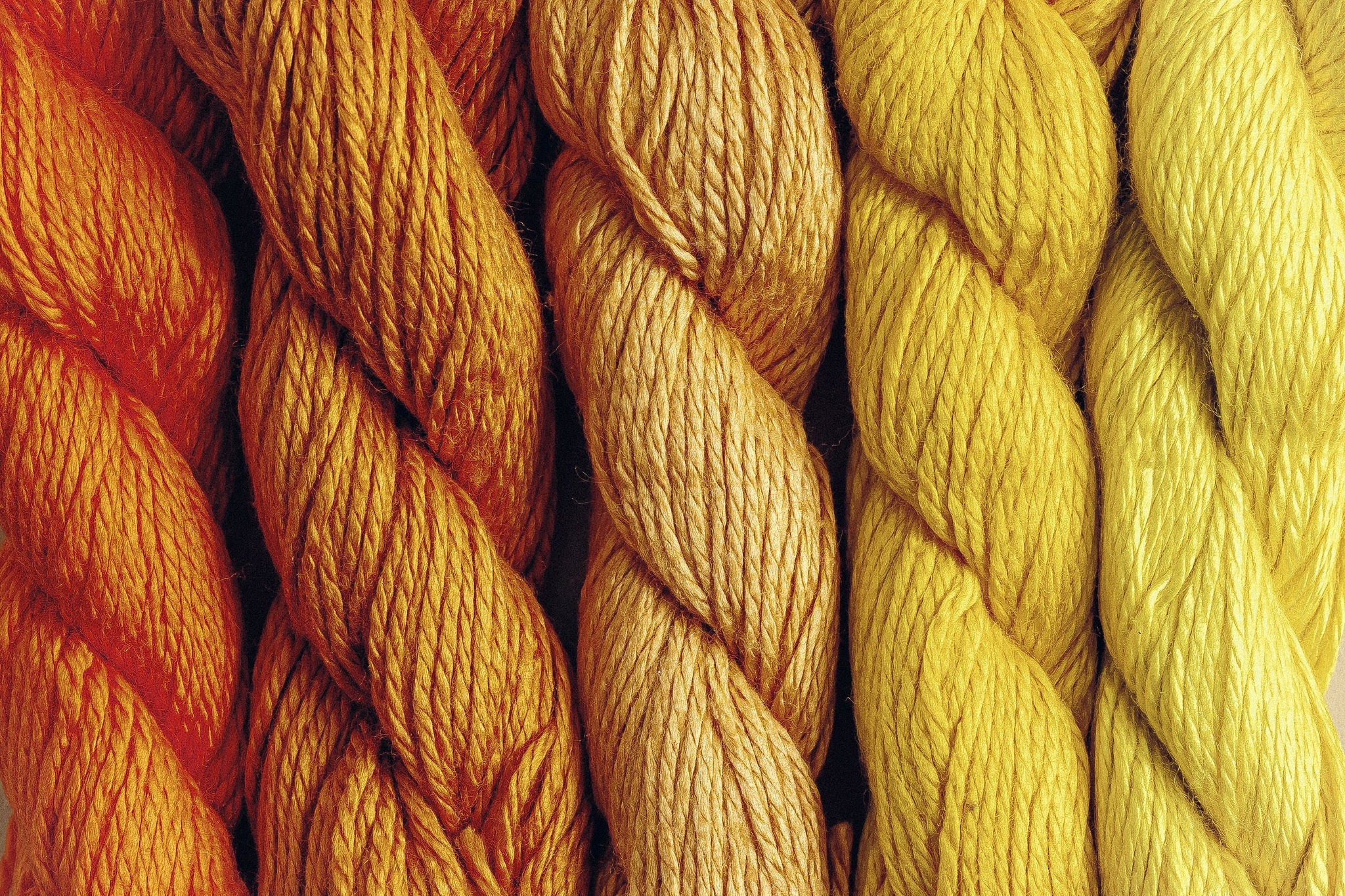 Pepper Pot Yellows & Golds