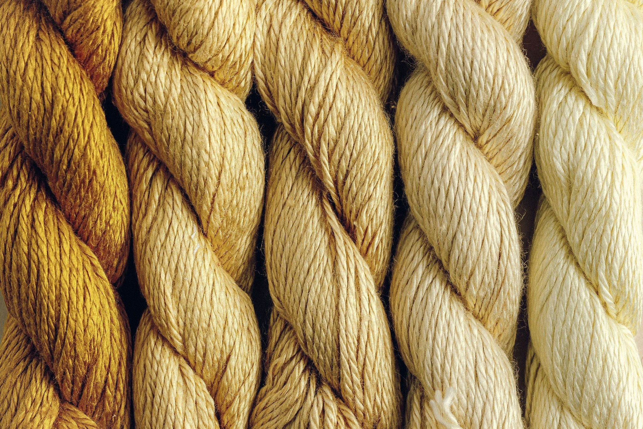 Pepper Pot Neutrals