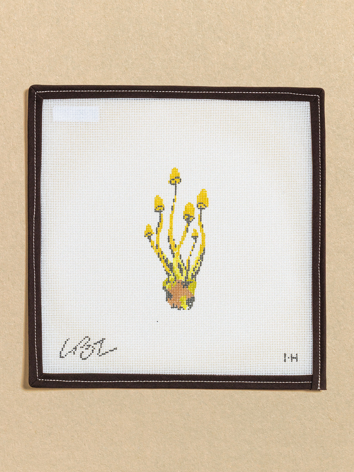 Mushroom Series - Honey