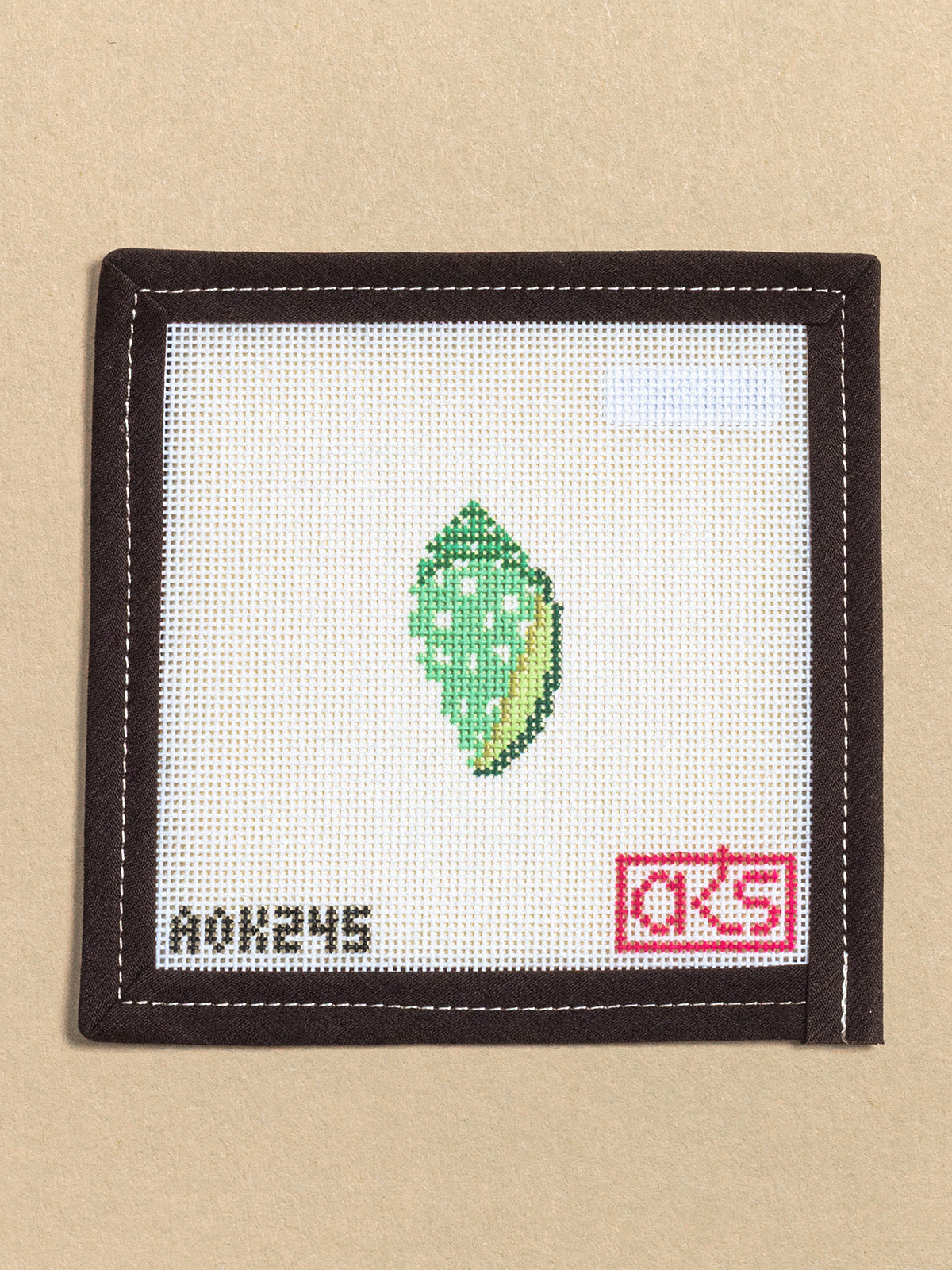 Tiny Green Cone Shell