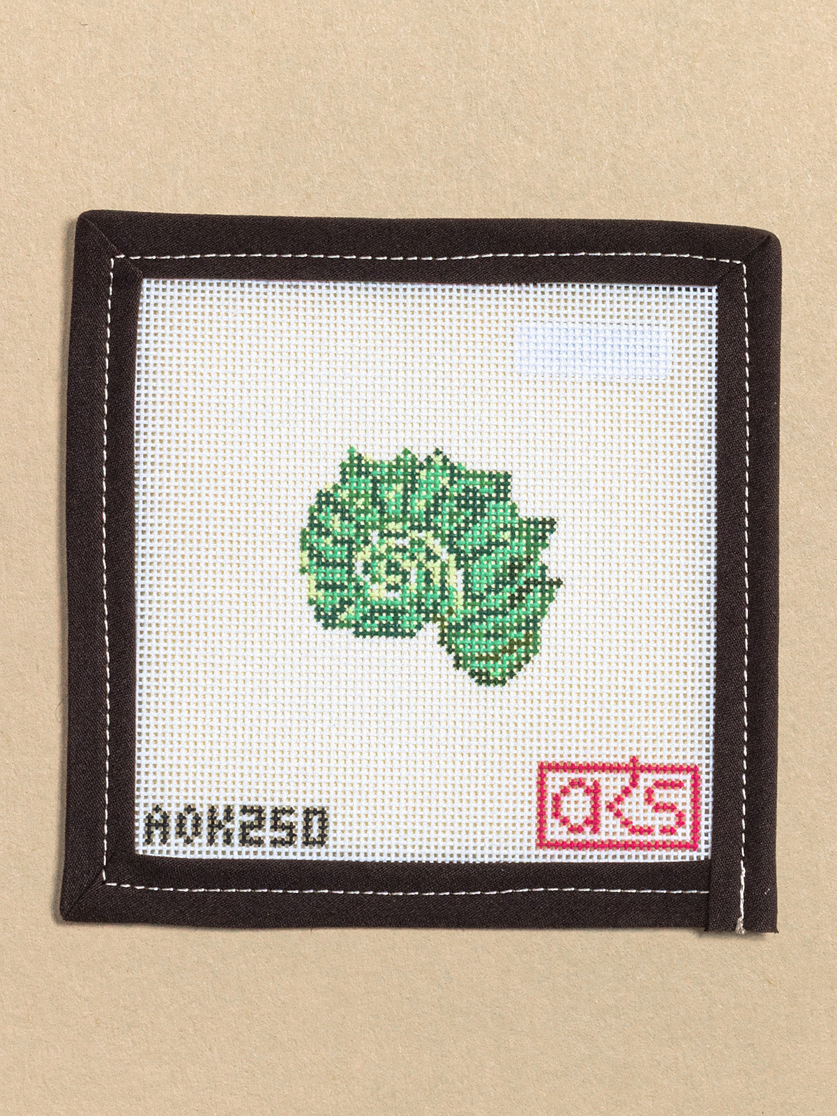 Tiny Spiral Shell