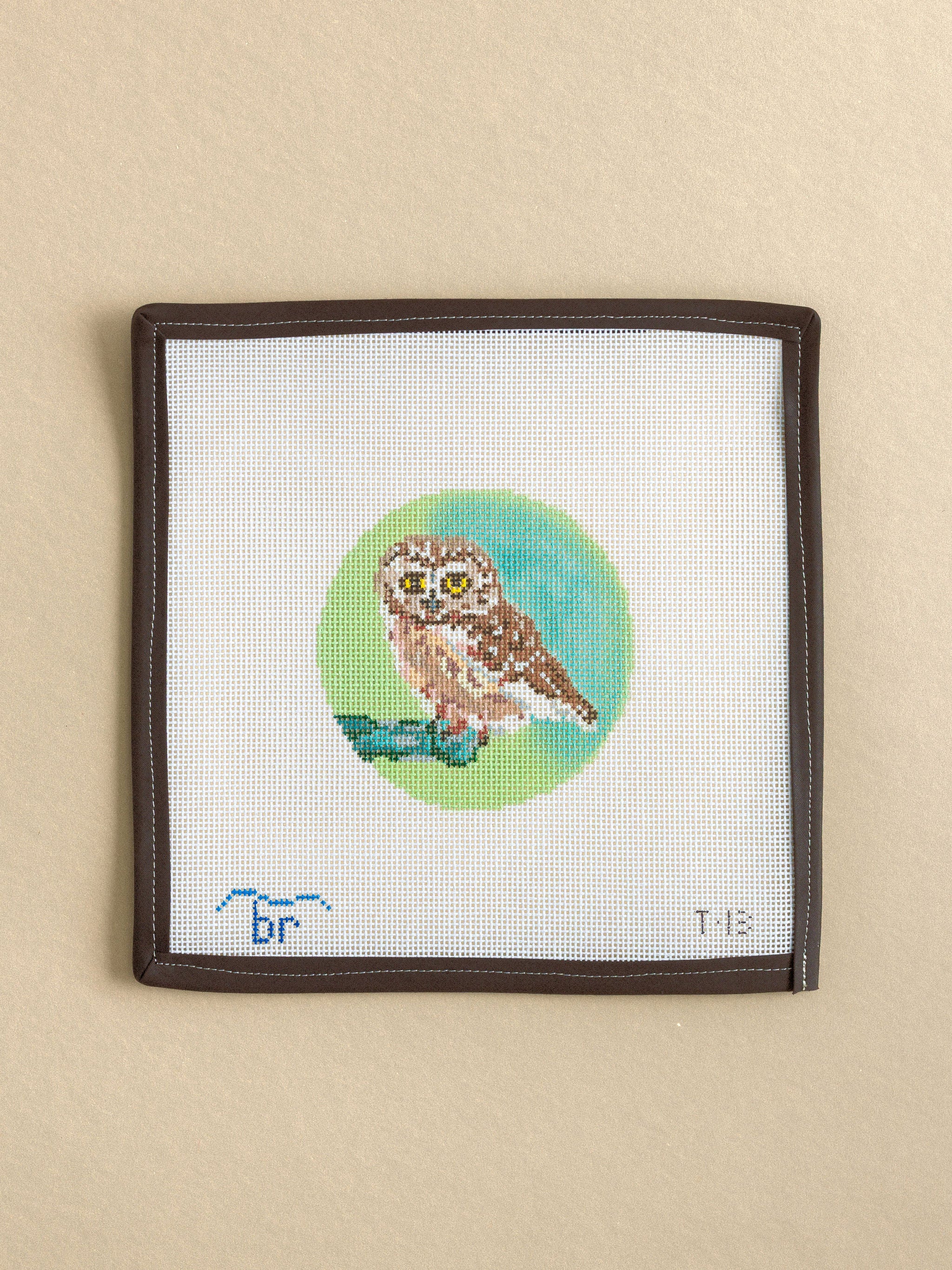 Rocky (Saw Whet Owl)